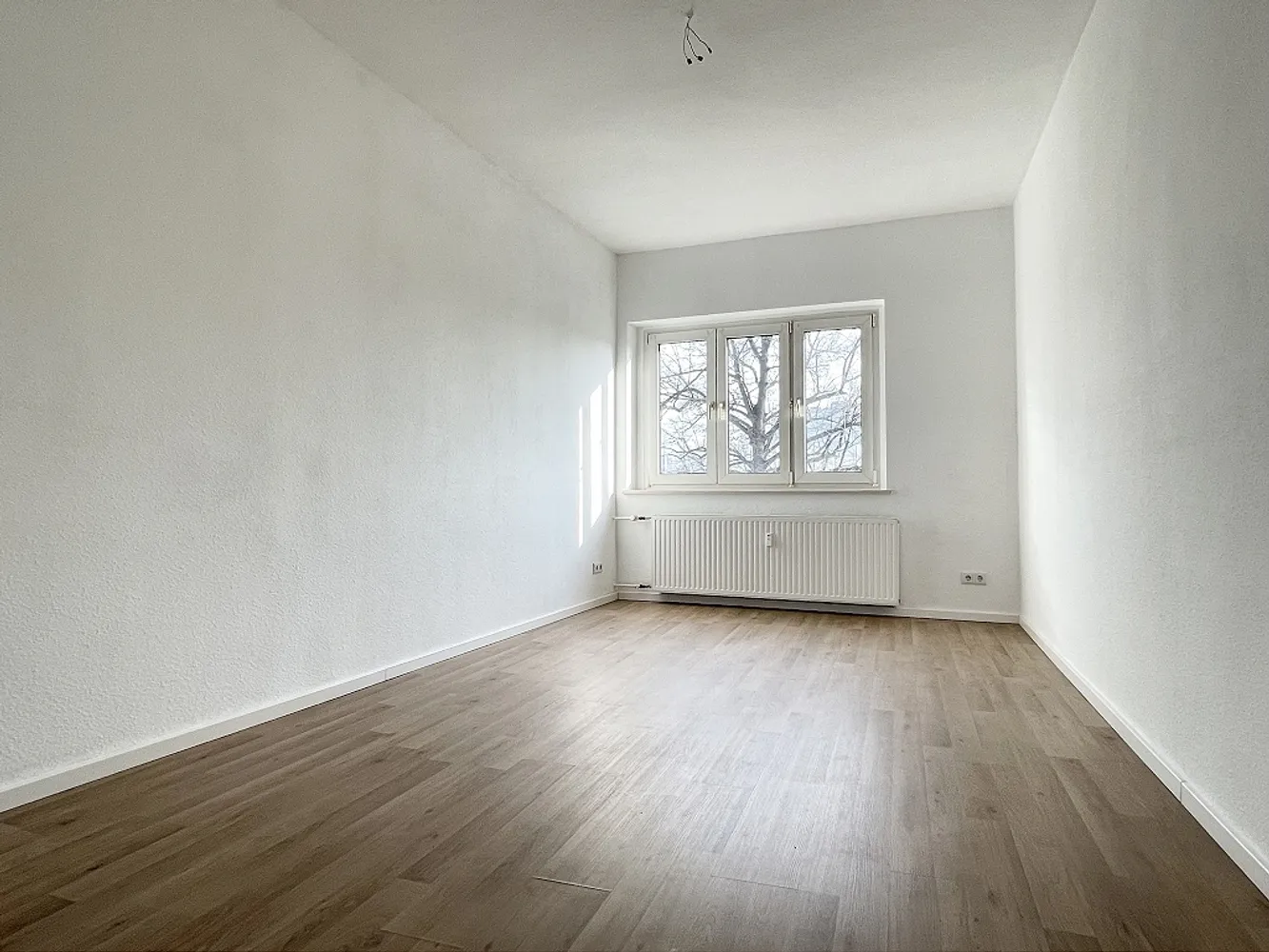 2 Zimmer Wohnung mit 61 m² in Dresden – Bild 1
