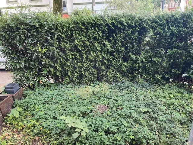 2 Zimmer Wohnung mit 48 m² in Recklinghausen – Bild 9