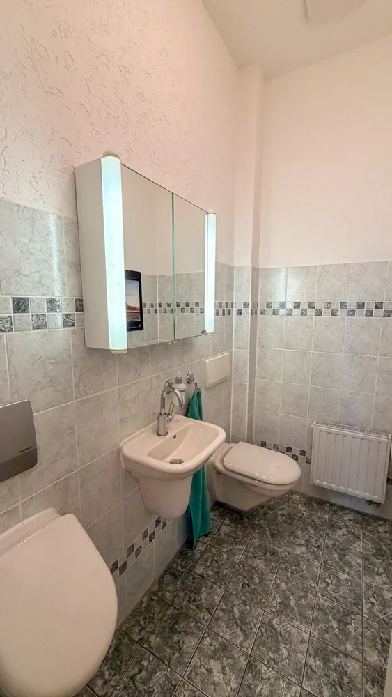 7 Zimmer Wohnung mit 240 m² in Dresden – Bild 5