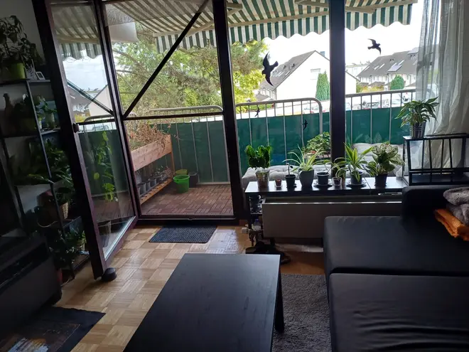 2 Zimmer Wohnung mit 43 m² in Mainz – Bild 4