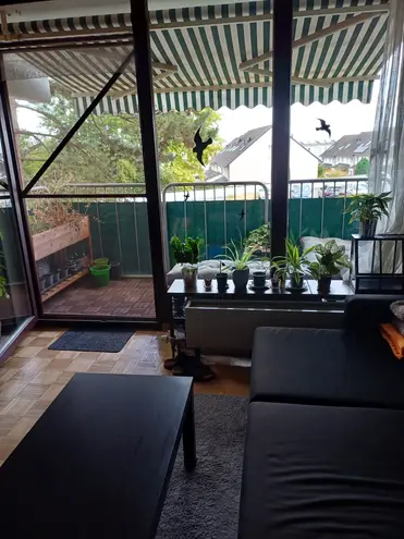 2 Zimmer Wohnung mit 43 m² in Mainz – Bild 6