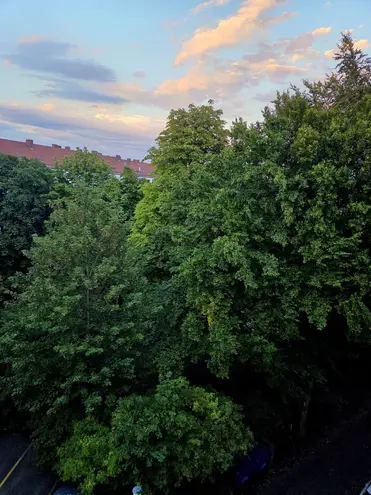 2 Zimmer Wohnung mit 53 m² in Ingolstadt – Bild 5