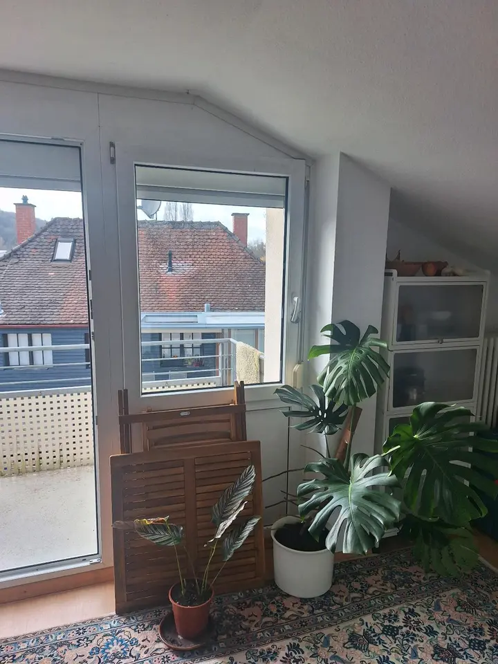 Studio mit 25 m² in Konstanz – Bild 3