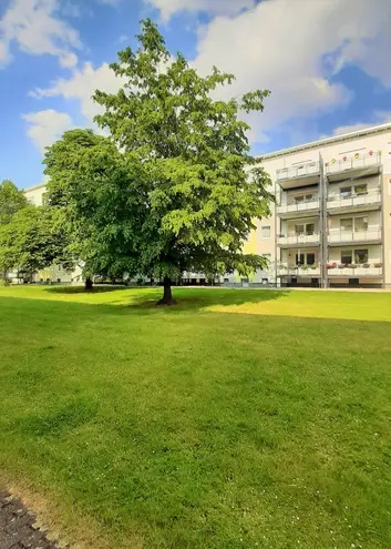 4 Zimmer Wohnung mit 59 m² in Dortmund – Bild 3
