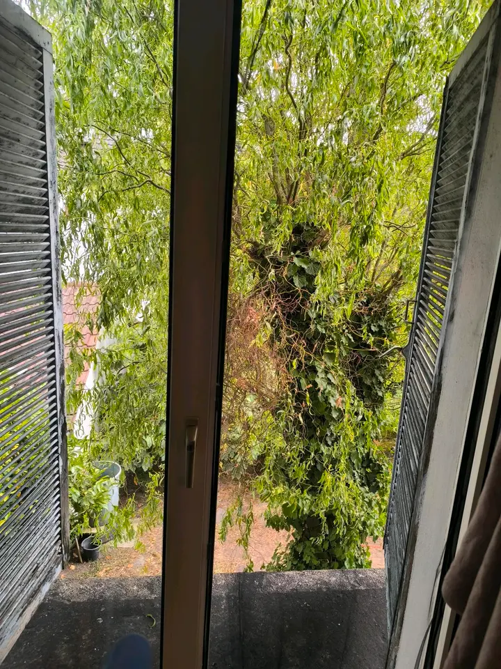 WG-Zimmer mit 15 m² in Dietzenbach – Bild 4