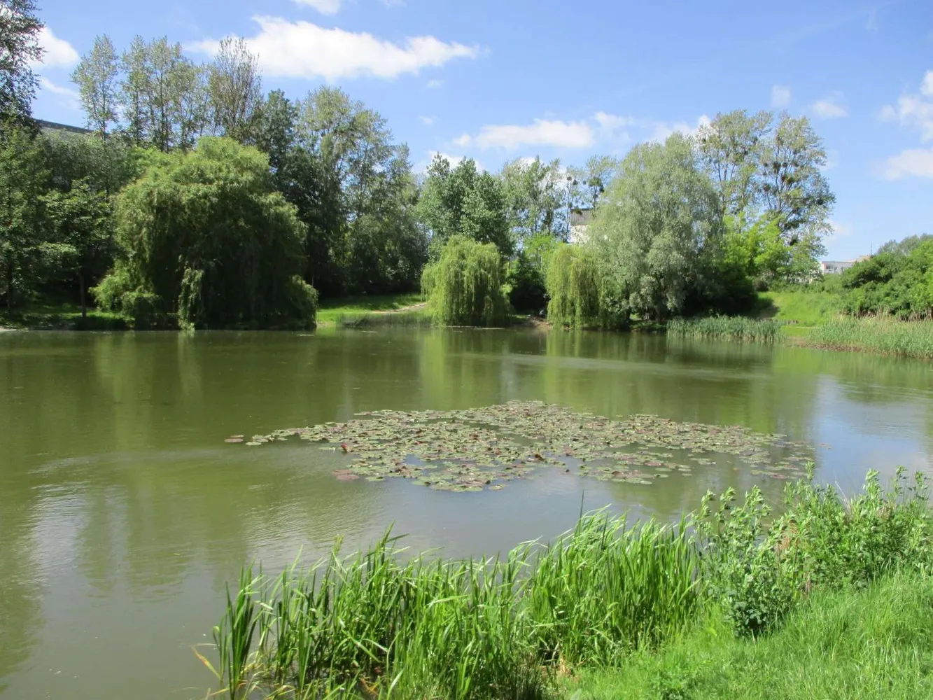 2 Zimmer Wohnung mit 46 m² in Neubrandenburg – Bild 12