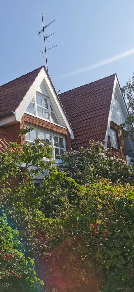 10 Zimmer Haus mit 434 m² in Gifhorn – Bild 4