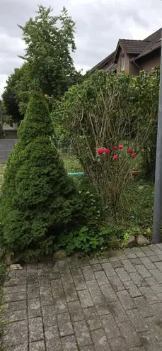 3 Zimmer Wohnung mit 80 m² in Paderborn – Bild 3