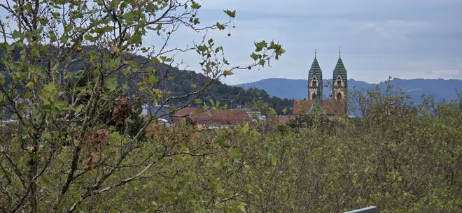 4 Zimmer Wohnung mit 114 m² in Freiburg im Breisgau – Bild 11