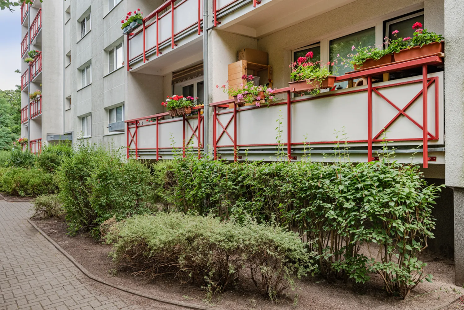 3 Zimmer Wohnung mit 62 m² in Neubrandenburg – Bild 4