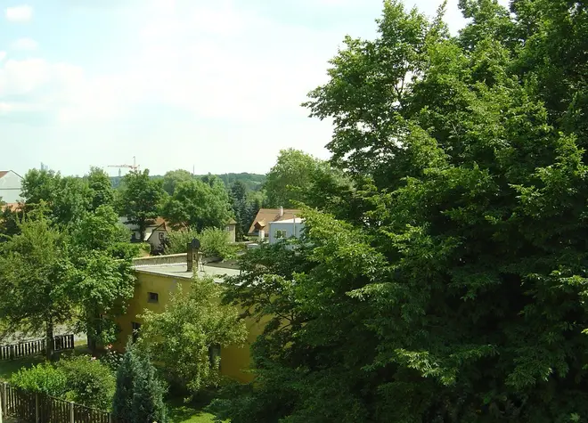 5 Zimmer Wohnung mit 184 m² in Leipzig – Bild 4