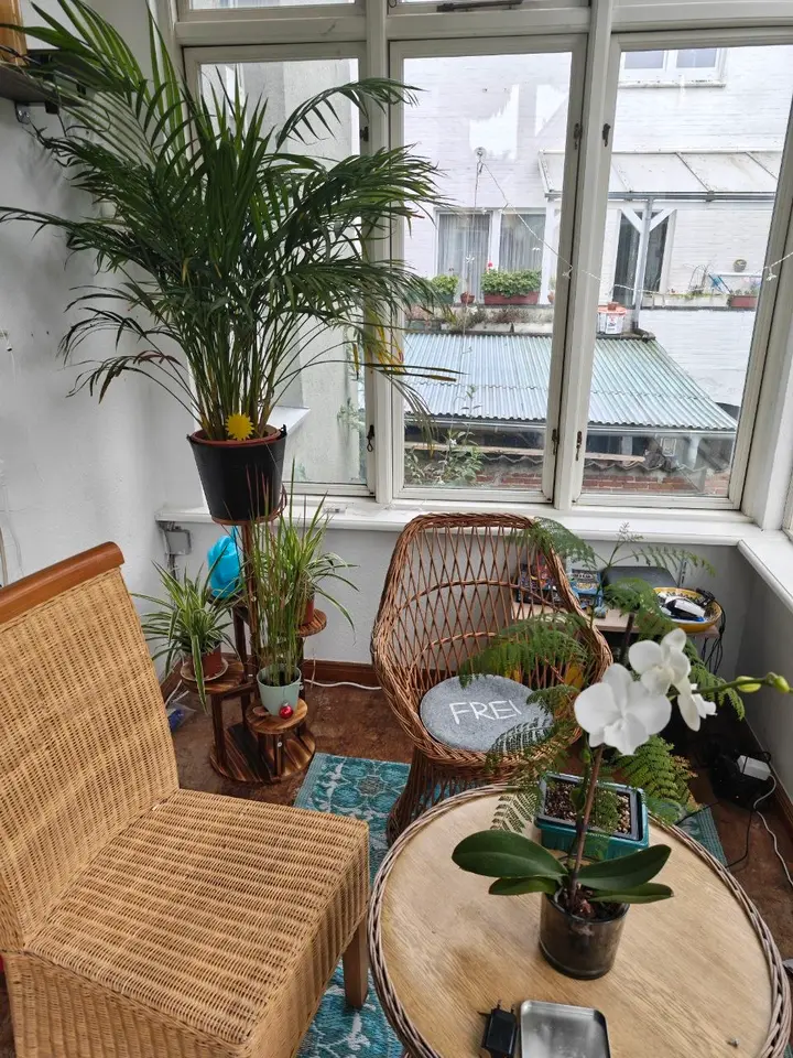 Studio mit 22 m² in Norden – Bild 3