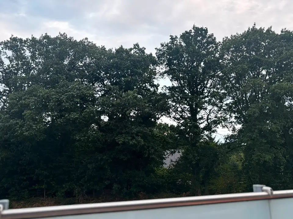 5 Zimmer Wohnung mit 160 m² in Kleve – Bild 5