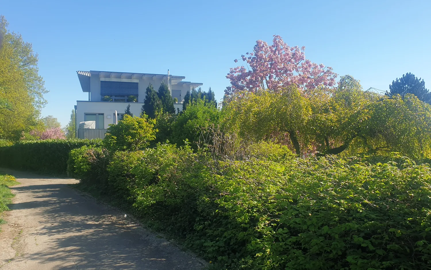 3 Zimmer Wohnung mit 128 m² in Mülheim an der Ruhr – Bild 2