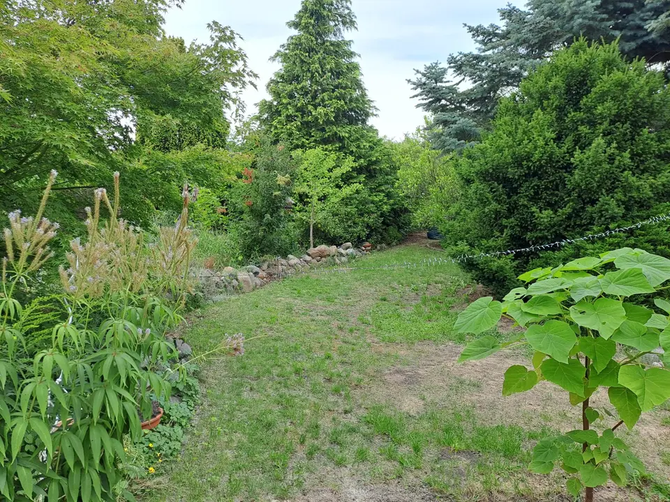 4 Zimmer Haus mit 114 m² in Brandenburg an der Havel – Bild 4