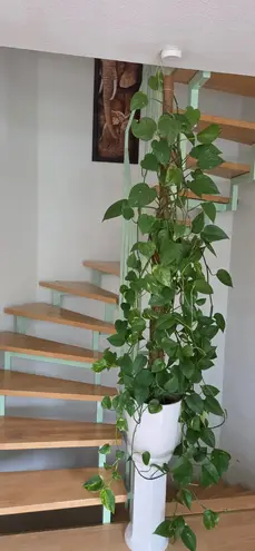 5 Zimmer Haus mit 143 m² in Leipzig – Bild 12