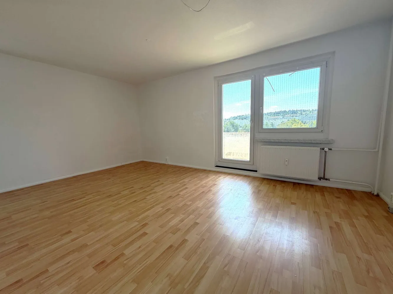 1 Zimmer Wohnung mit 35 m² in Plauen – Bild 1