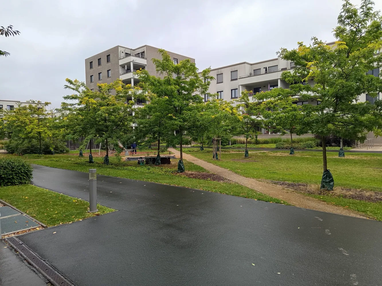 4 Zimmer Wohnung mit 108 m² in Dresden – Bild 1