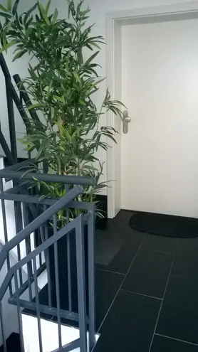 2 Zimmer Wohnung mit 43 m² in Bielefeld – Bild 2