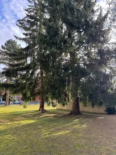 3 Zimmer Wohnung mit 88 m² in Augsburg – Bild 1