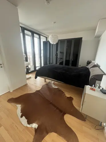 2 Zimmer Wohnung mit 115 m² in Karlsruhe – Bild 4