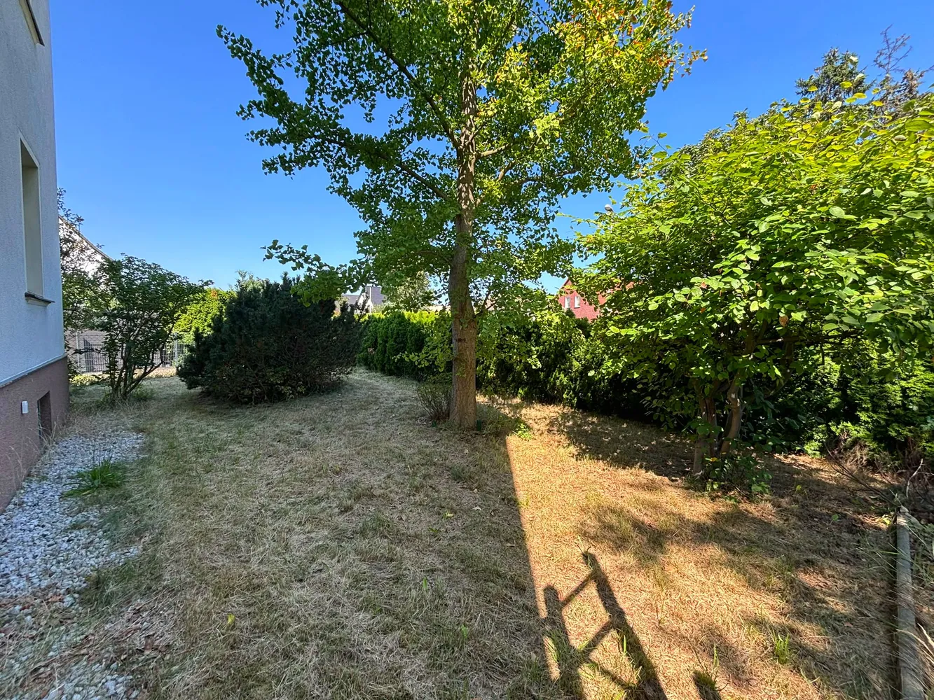 4 Zimmer Wohnung mit 129 m² in Cottbus – Bild 2