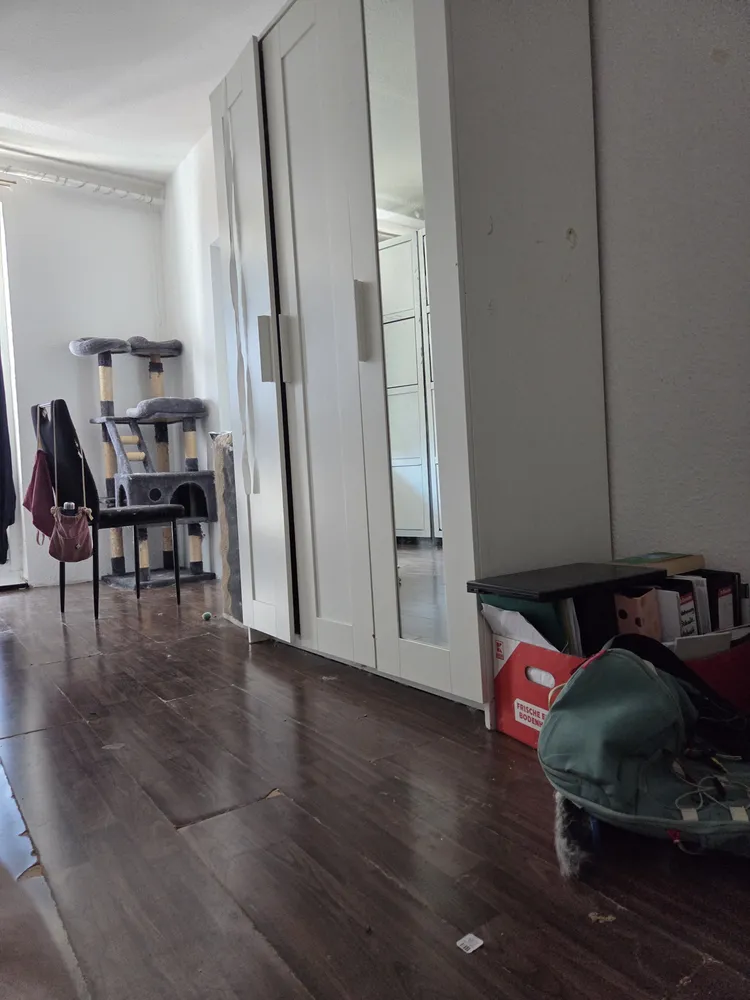 1 Zimmer Wohnung mit 34 m² in Frankfurt (Oder) – Bild 1