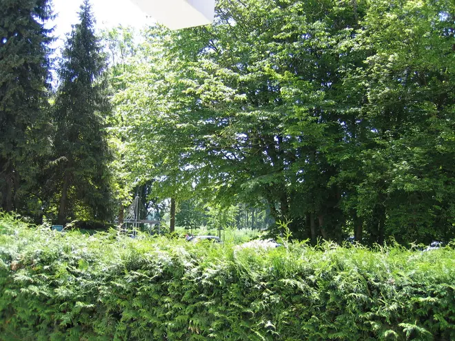 1 Zimmer Wohnung mit 45 m² in Augsburg – Bild 2