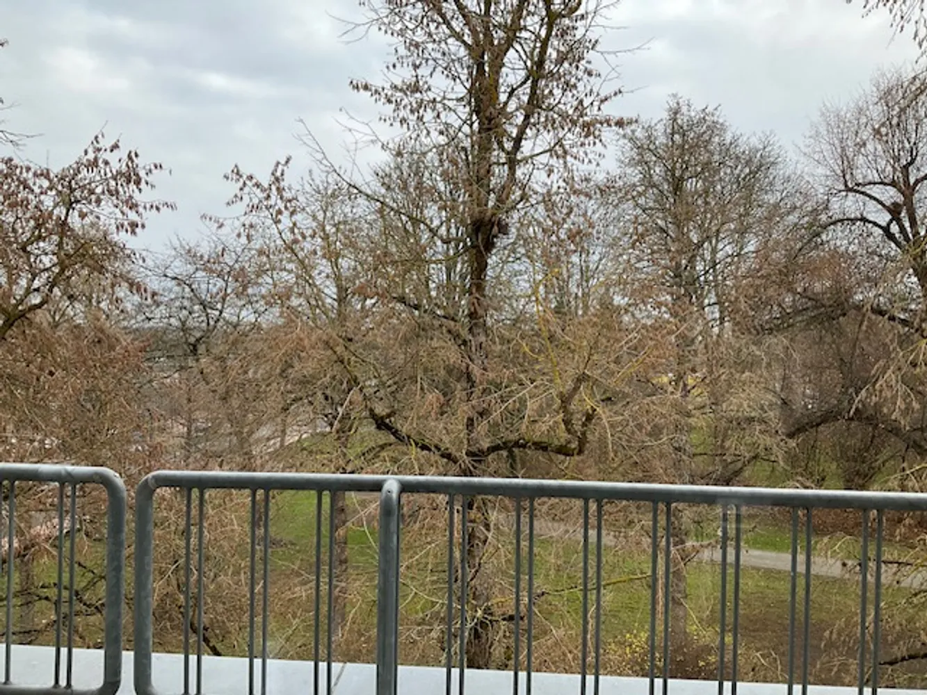 2 Zimmer Wohnung mit 66 m² in Salzgitter – Bild 5