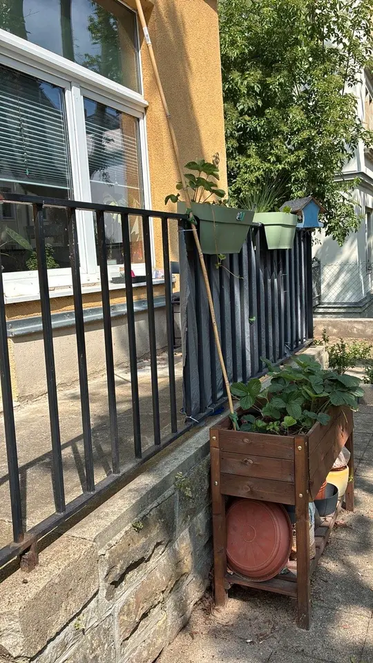 2 Zimmer Wohnung mit 76 m² in Dresden – Bild 2