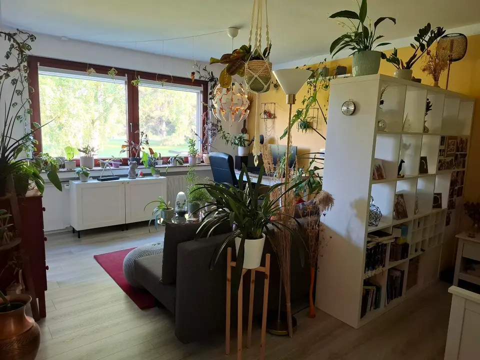 2 Zimmer Wohnung mit 49 m² in Hildesheim – Bild 2