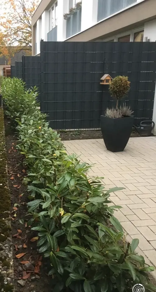 Studio mit 25 m² in Oldenburg – Bild 4