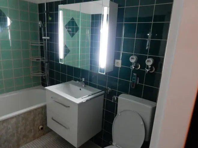 2 Zimmer Wohnung mit 47 m² in Ludwigshafen am Rhein – Bild 4