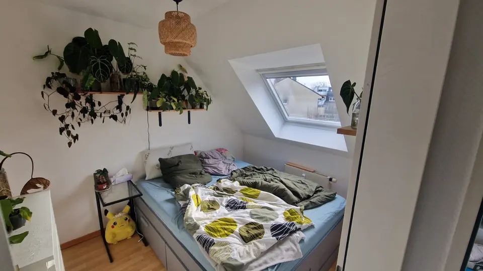 WG-Zimmer mit 55 m² in Brühl – Bild 1