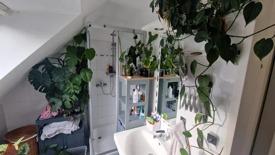 WG-Zimmer mit 55 m² in Brühl – Bild 4