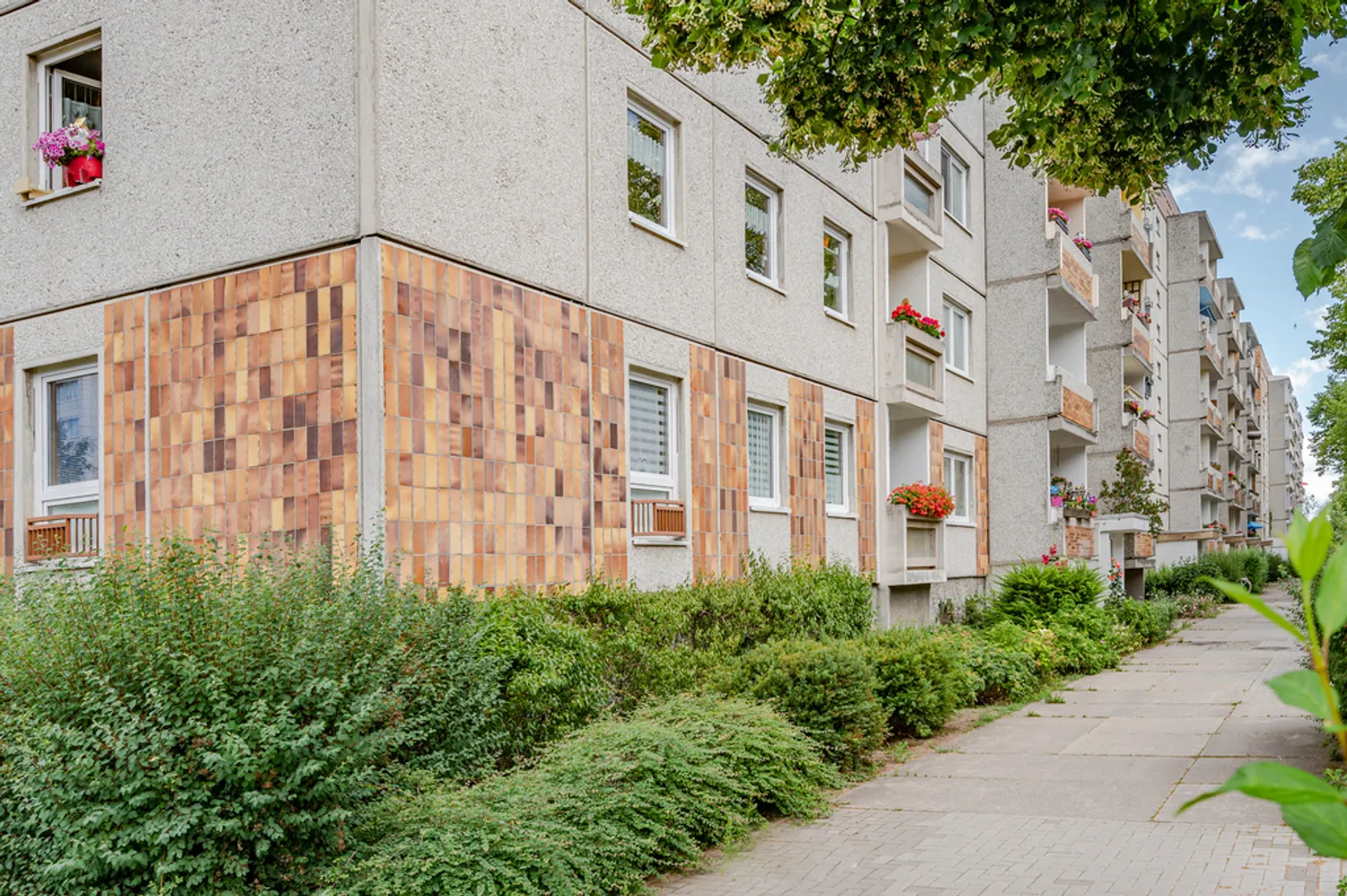 3 Zimmer Wohnung mit 62 m² in Neubrandenburg – Bild 3