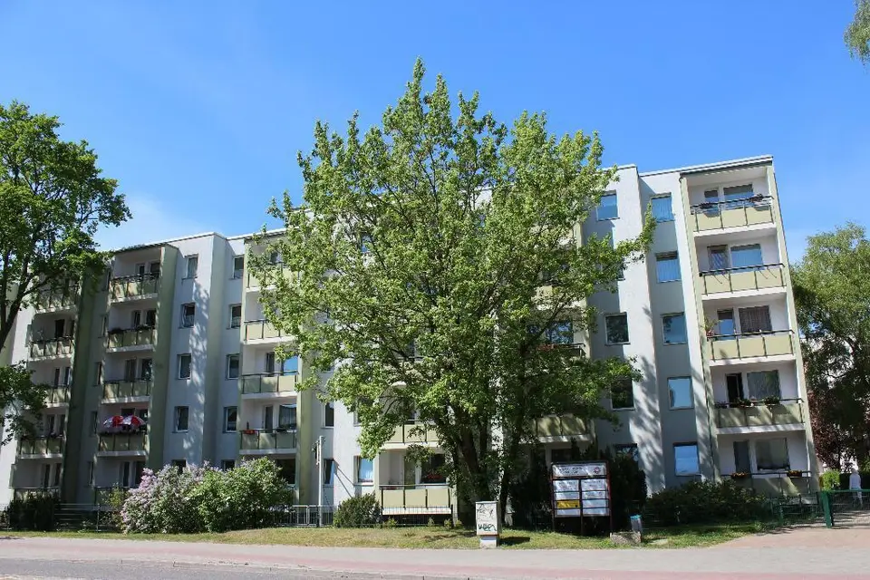Studio mit 34 m² in Oranienburg – Bild 3