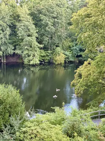 6 Zimmer Haus mit 210 m² in Berlin – Bild 9