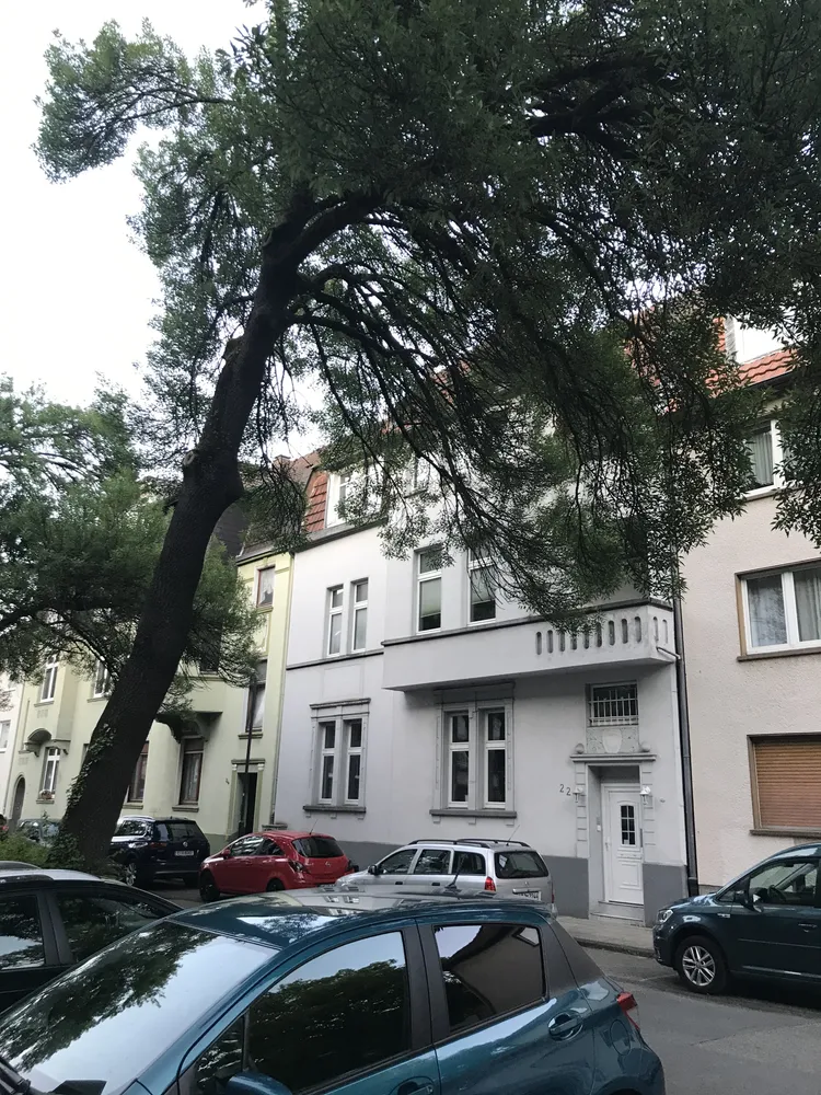 3 Zimmer Wohnung mit 78 m² in Essen – Bild 1