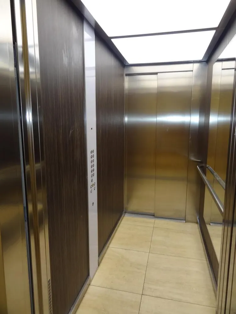 2 Zimmer Wohnung mit 49 m² in Dresden – Bild 5