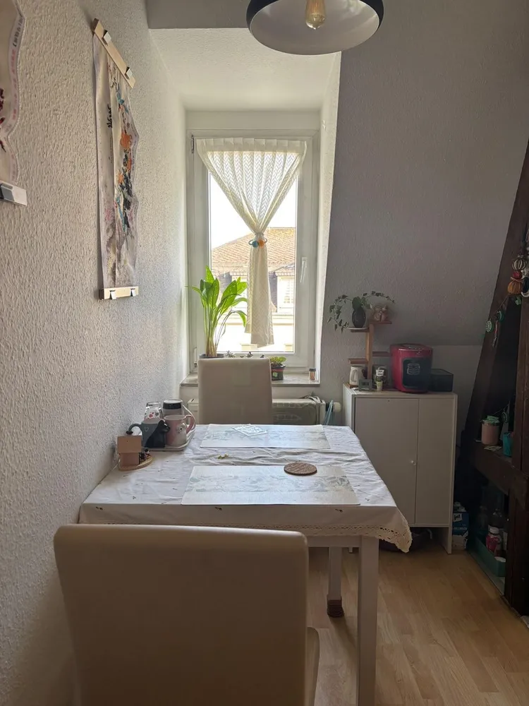 2 Zimmer Wohnung mit 41 m² in Dresden – Bild 3