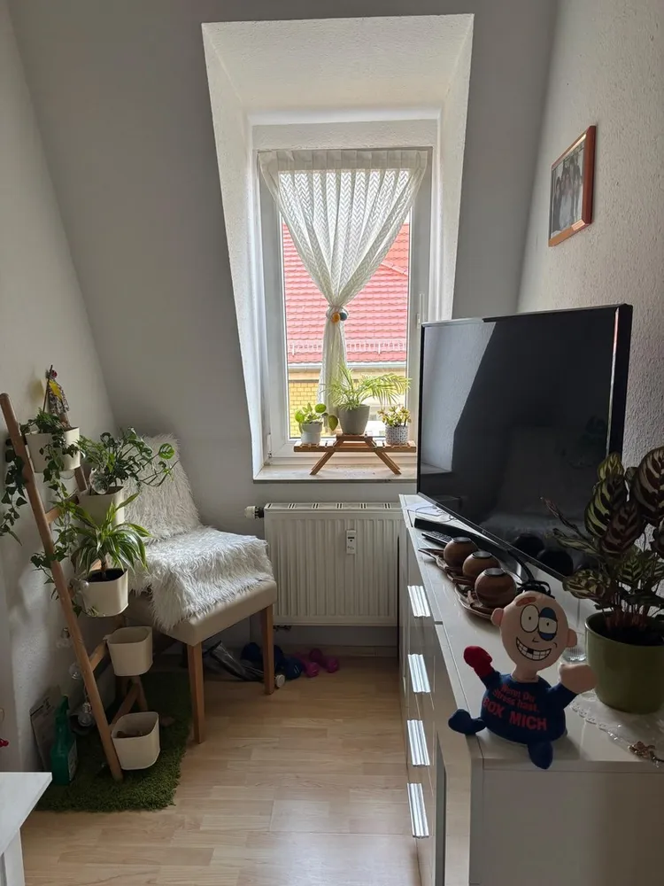 2 Zimmer Wohnung mit 41 m² in Dresden – Bild 9
