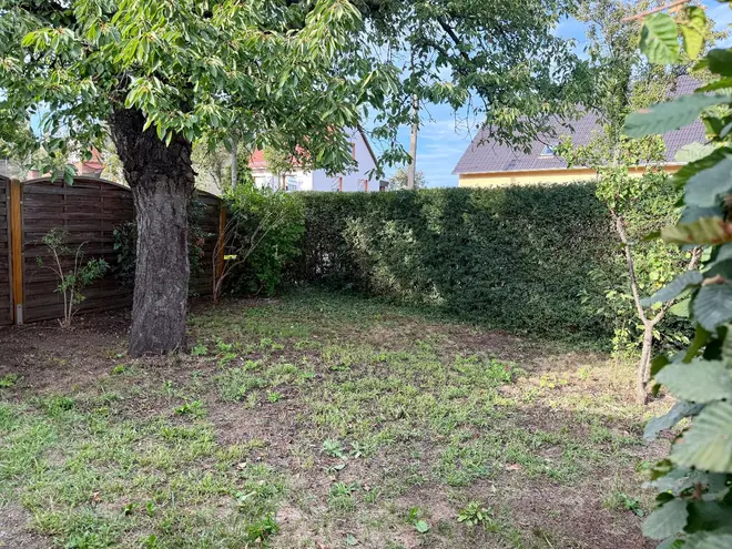 4 Zimmer Wohnung mit 105 m² in Dresden – Bild 10