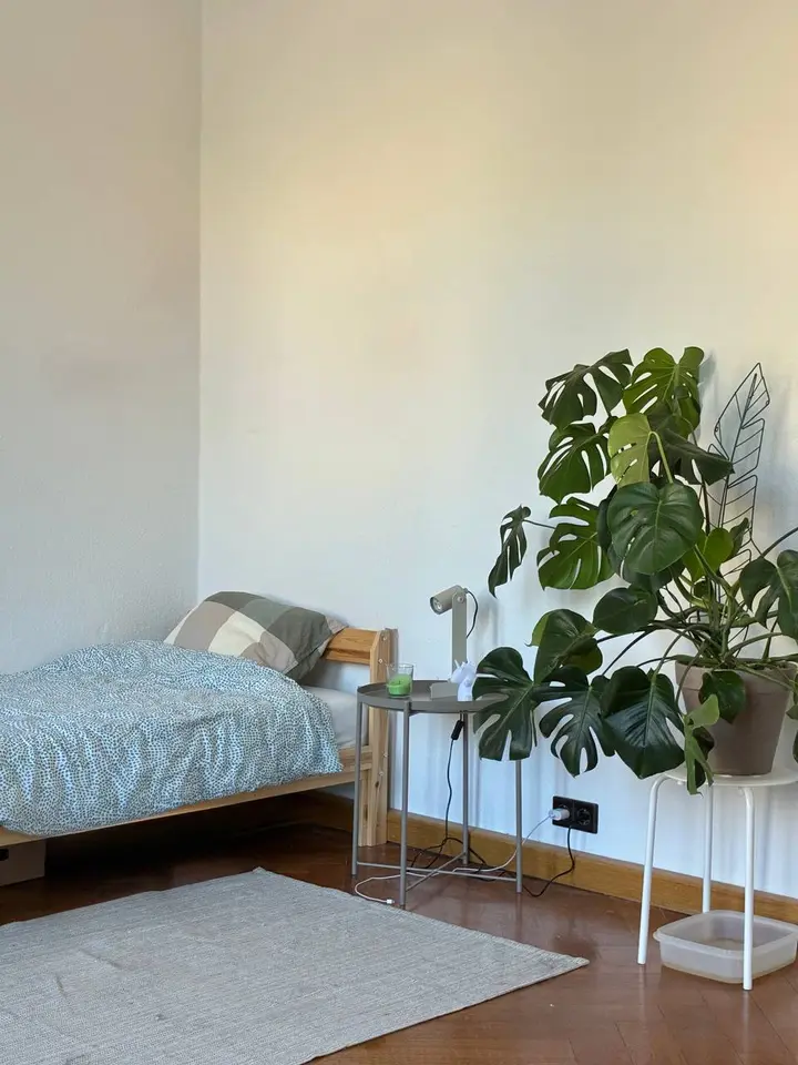 6 Zimmer Wohnung mit 24 m² in Cottbus – Bild 4