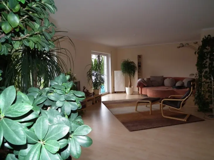 5 Zimmer Haus mit 160 m² in Gera – Bild 1