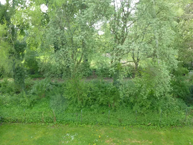 2 Zimmer Wohnung mit 60 m² in Braunschweig – Bild 2