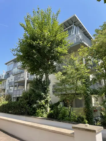 2 Zimmer Wohnung mit 45 m² in Wiesbaden – Bild 2