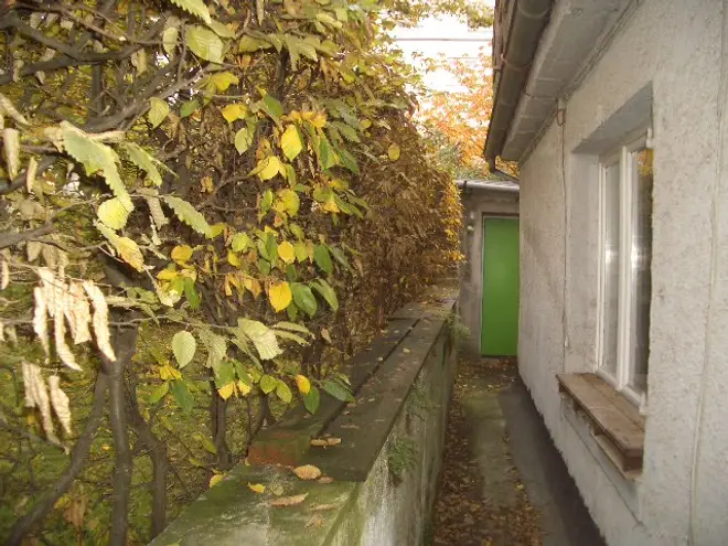4 Zimmer Wohnung mit 90 m² in Köln – Bild 11