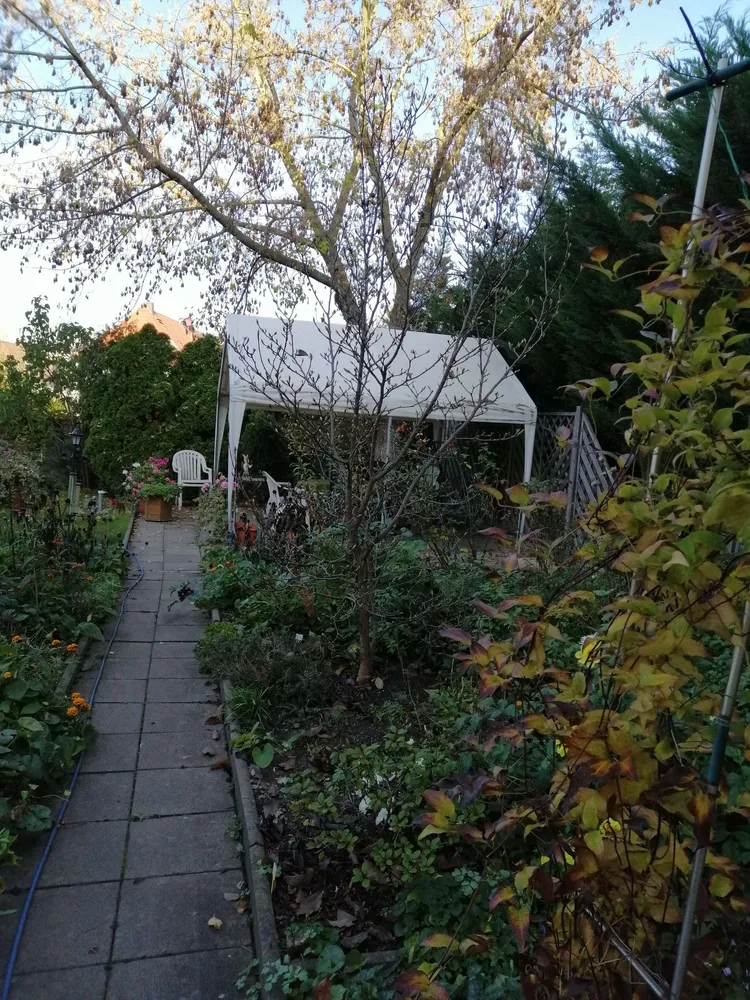 3 Zimmer Wohnung mit 76 m² in Merseburg – Bild 11