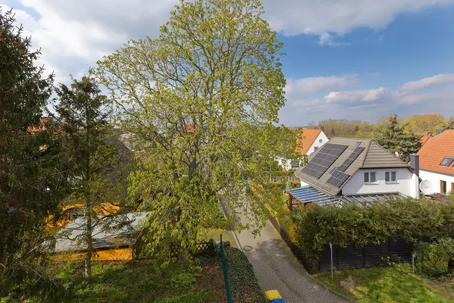 2 Zimmer Wohnung mit 63 m² in Leipzig – Bild 2